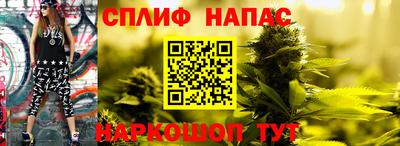 твердый Кингисепп