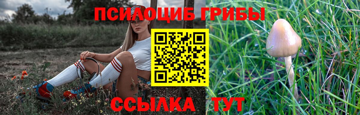 Кропоткин  Галлюциногенные грибы Psilocybe  Галлюциногенные грибы мицелий  Вход с VPN 
